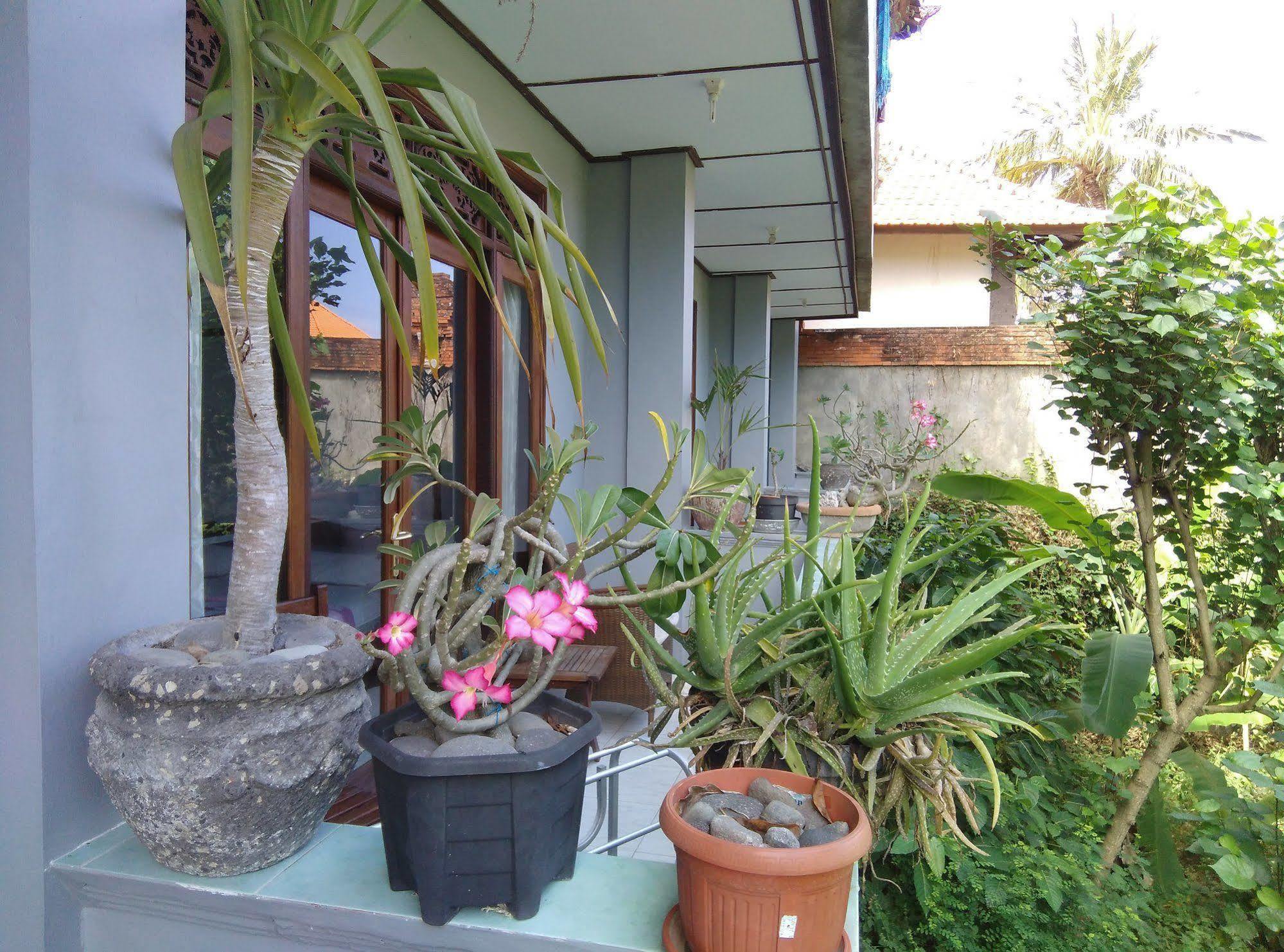 Celagi Inn Padangbai (Bali) Exterior foto